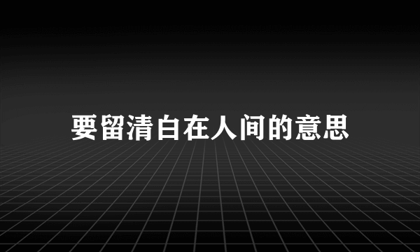 要留清白在人间的意思