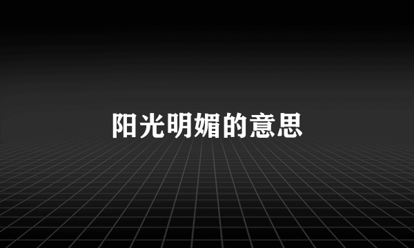 阳光明媚的意思
