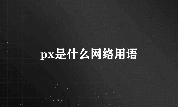 px是什么网络用语