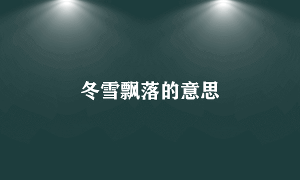 冬雪飘落的意思