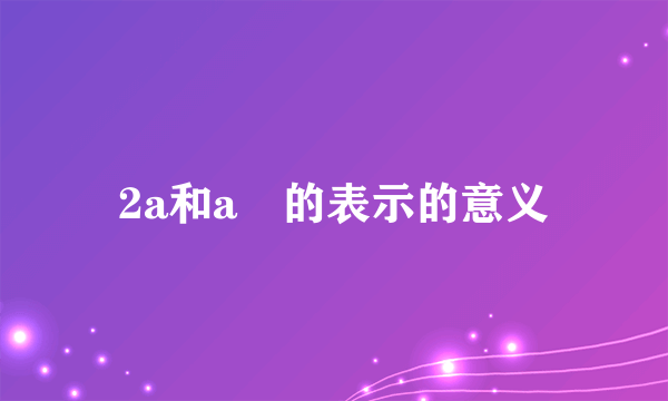 2a和a²的表示的意义