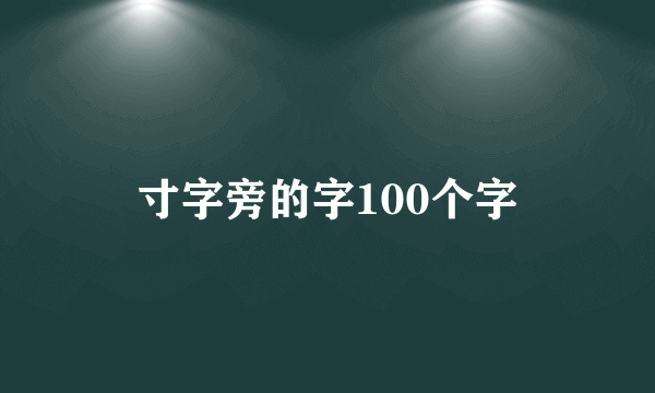 寸字旁的字100个字