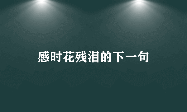 感时花残泪的下一句