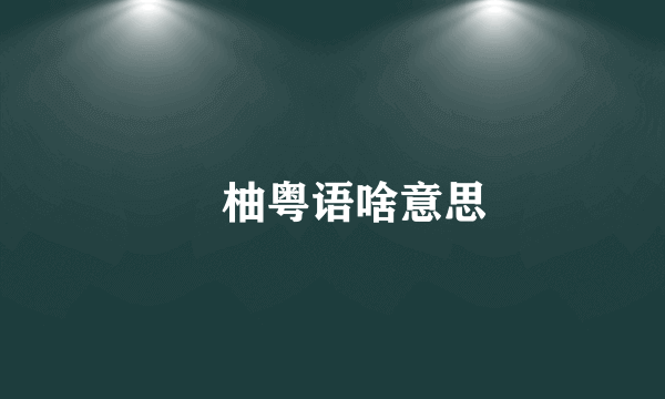 啰柚粤语啥意思