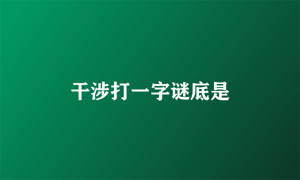 干涉打一字谜底是