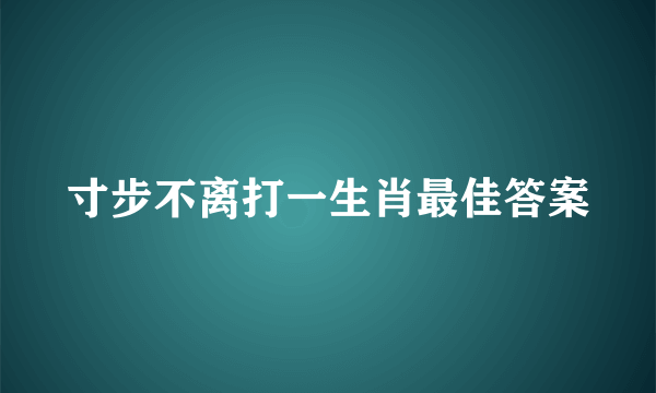 寸步不离打一生肖最佳答案