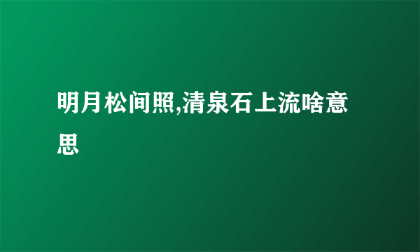 明月松间照,清泉石上流啥意思