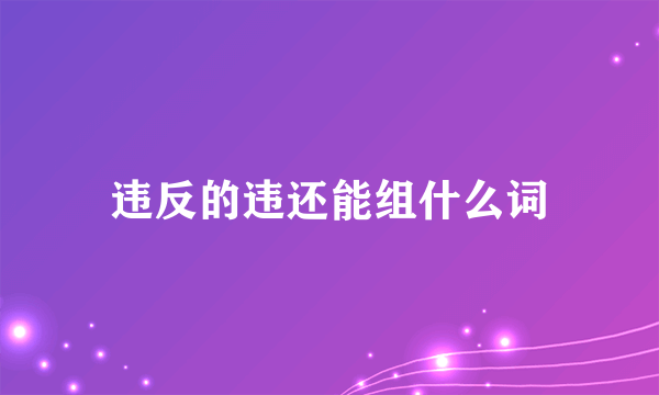 违反的违还能组什么词