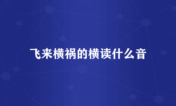 飞来横祸的横读什么音