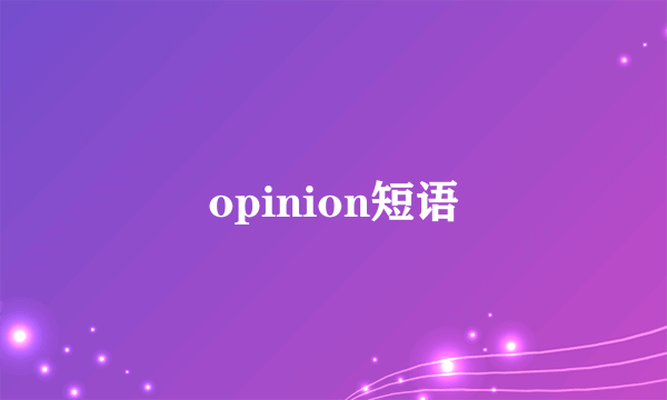 opinion短语