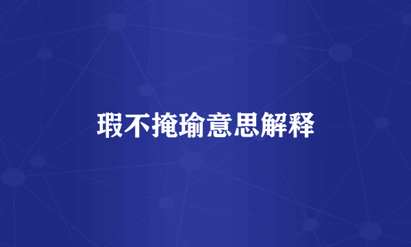 瑕不掩瑜意思解释