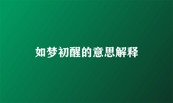 如梦初醒的意思解释