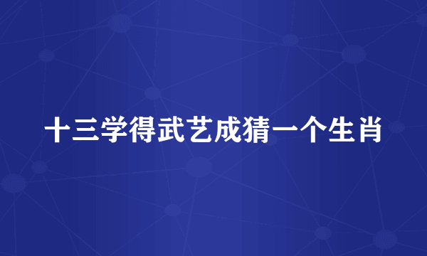 十三学得武艺成猜一个生肖