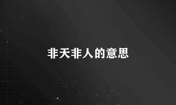 非天非人的意思