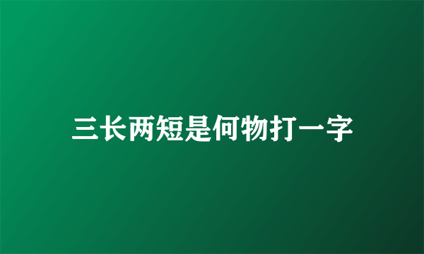 三长两短是何物打一字