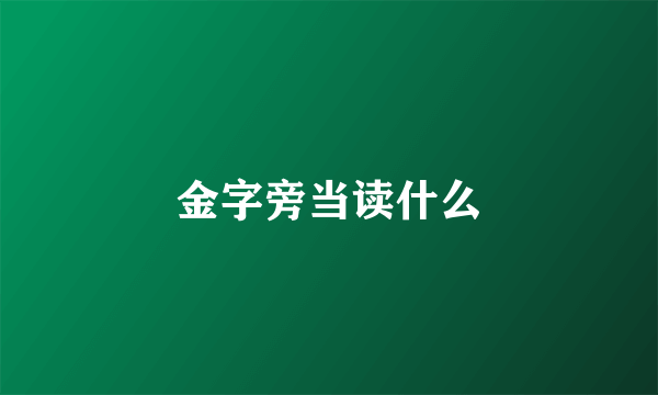 金字旁当读什么