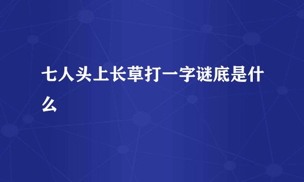 七人头上长草打一字谜底是什么