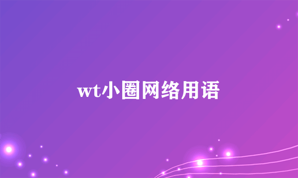 wt小圈网络用语