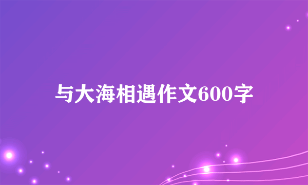 与大海相遇作文600字