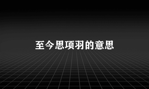 至今思项羽的意思