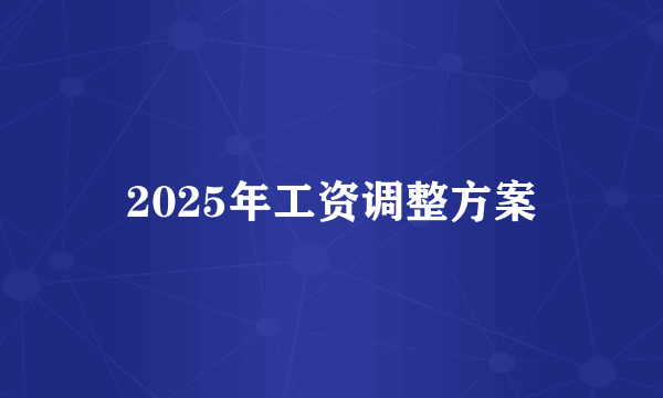 2025年工资调整方案