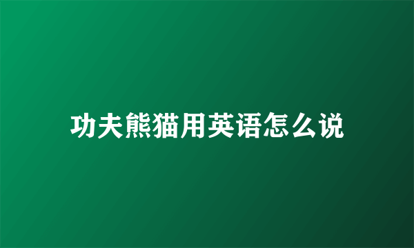 功夫熊猫用英语怎么说