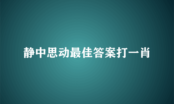 静中思动最佳答案打一肖