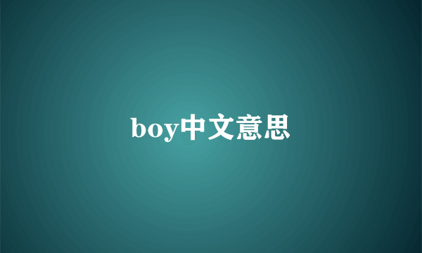 boy中文意思