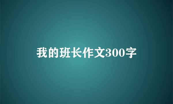 我的班长作文300字