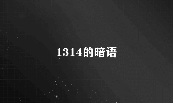 1314的暗语