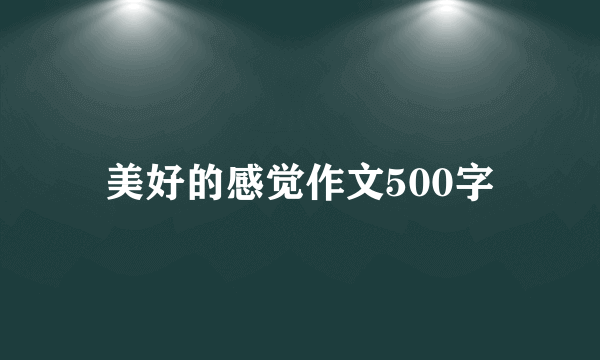 美好的感觉作文500字