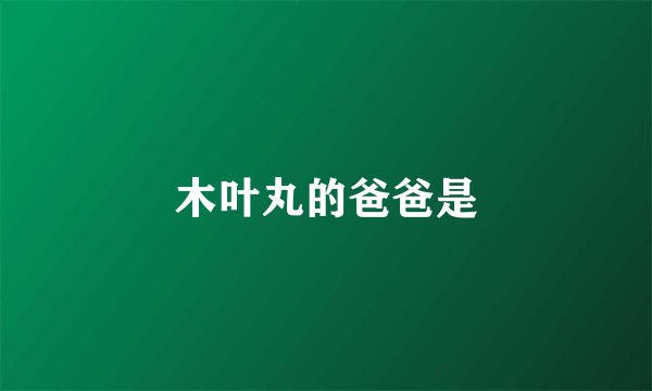 木叶丸的爸爸是
