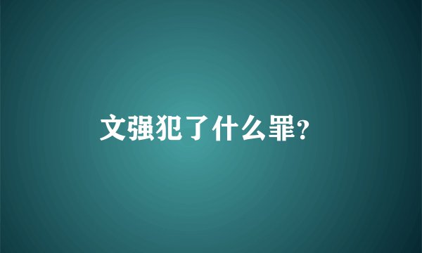 文强犯了什么罪？