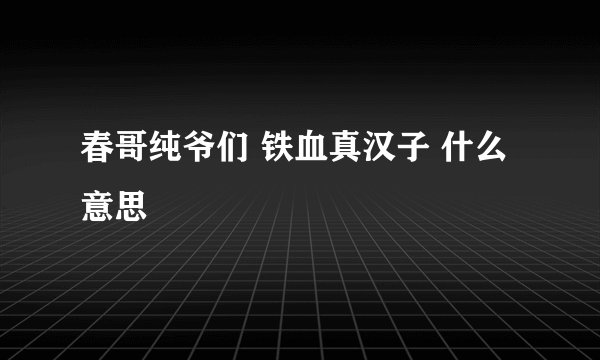春哥纯爷们 铁血真汉子 什么意思