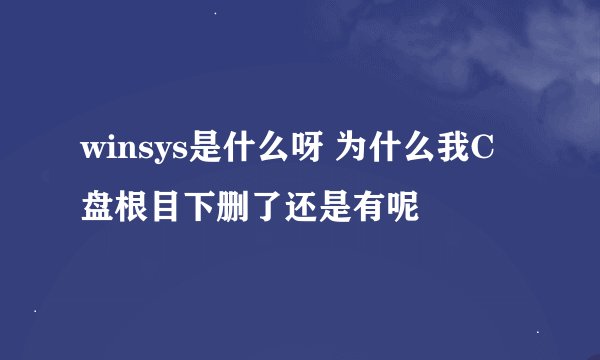 winsys是什么呀 为什么我C盘根目下删了还是有呢