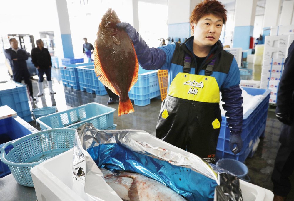 东电将试验用福岛核污水养鱼，此举引发了外界的哪些担忧？