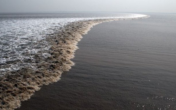 小学四年级观潮课文里面横贯是什么意思