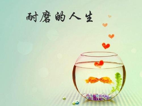 耐磨的人生主要内容70字