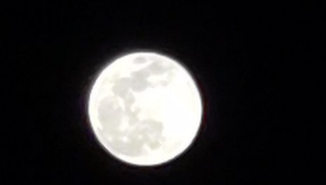 月亮不睡我不睡 我是秃头小宝贝下一句是什么？