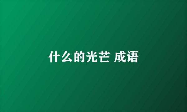 什么的光芒 成语