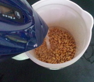 苏泊尔豆浆机怎么用