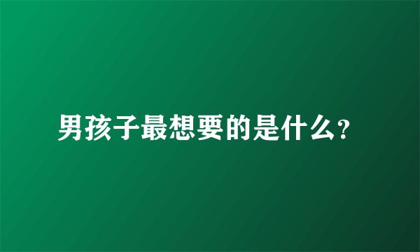 男孩子最想要的是什么？