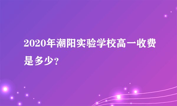 2020年潮阳实验学校高一收费是多少？