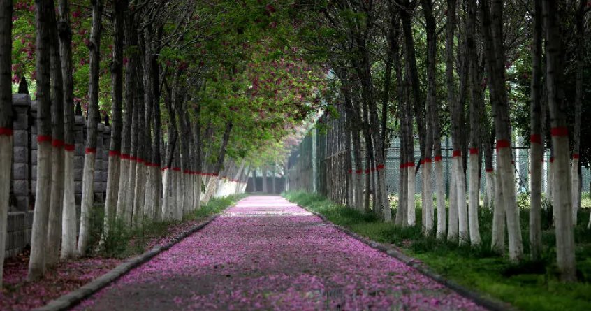 新乡医学院2021年录取分数线