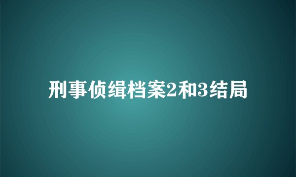 刑事侦缉档案2和3结局