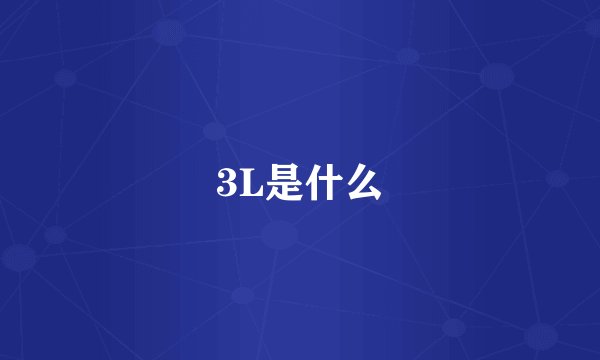 3L是什么