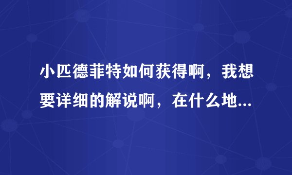 小匹德菲特如何获得啊，我想要详细的解说啊，在什么地方接任务啊，怎么做任务