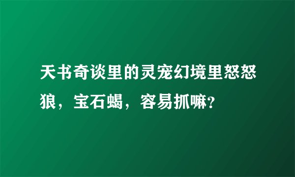 天书奇谈里的灵宠幻境里怒怒狼，宝石蝎，容易抓嘛？