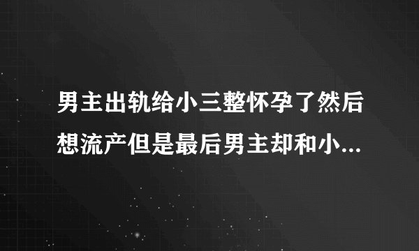 男主出轨给小三整怀孕了然后想流产但是最后男主却和小三结婚了是什么电视剧