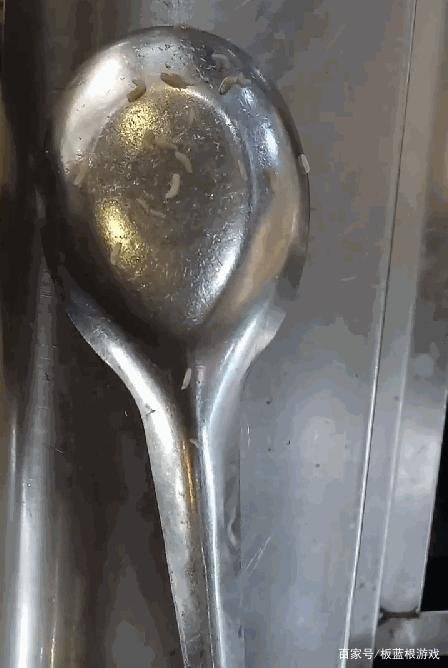 关于安阳高校食堂餐具现蛆虫一事,学校是如何回应的?